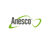 Anesco logo